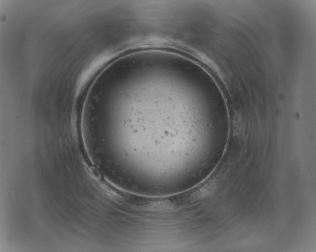 X0000072551464200607211347