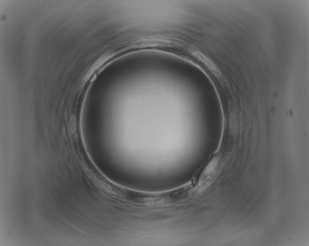 X0000072551465200607211347