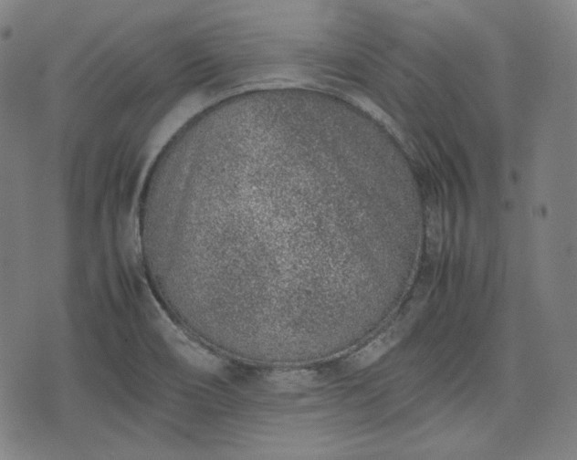 X0000072551466200607211347