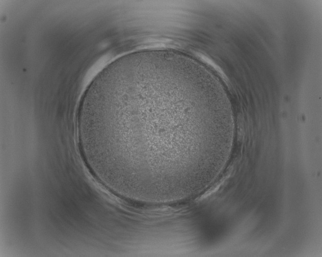 X0000072551467200607211347