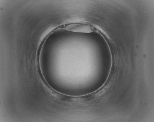 X0000072551469200607211347