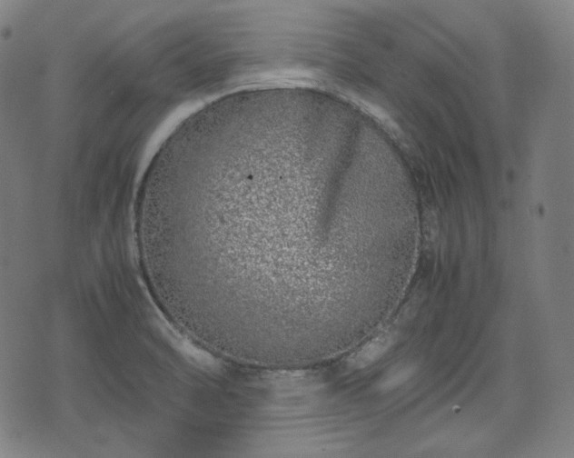 X0000072551470200607211347