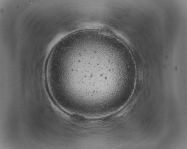 X0000072551471200607211347