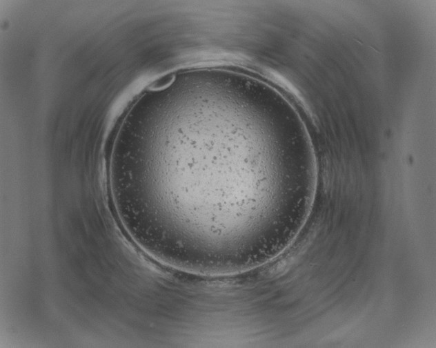 X0000072551472200607211347