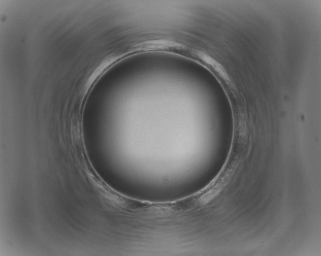 X0000072551473200607211347