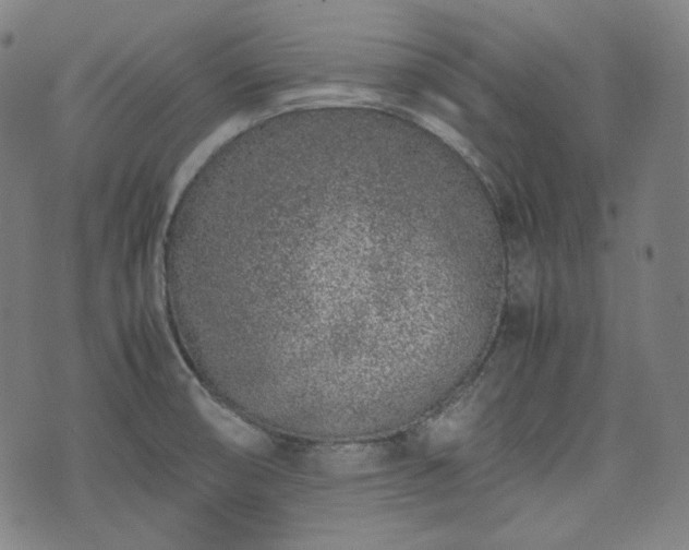 X0000072551474200607211347