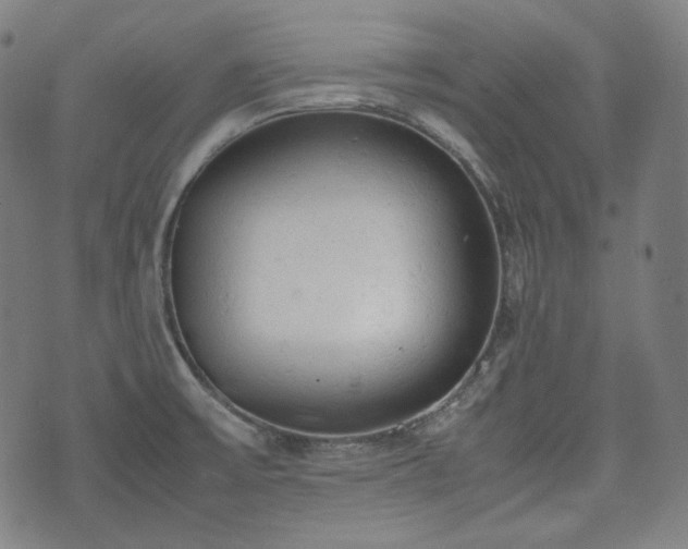 X0000072551475200607211347