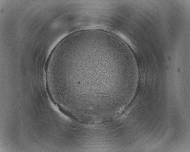 X0000072551476200607211347