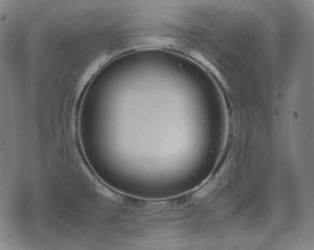 X0000072551477200607211347