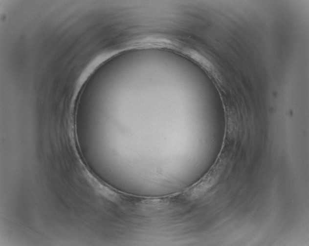 X0000072551478200607211347