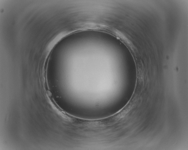 X0000072551479200607211347