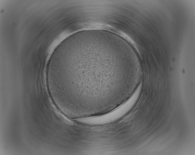 X0000072551480200607211347