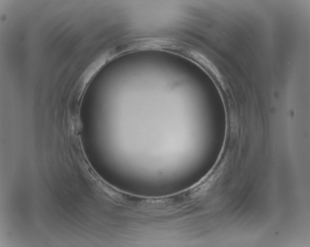 X0000072551481200607211347