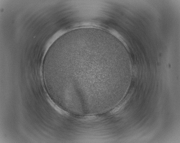 X0000072551482200607211347