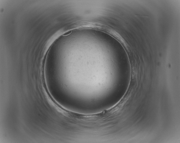 X0000072551483200607211347