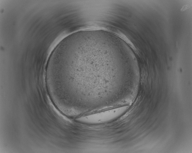 X0000072551484200607211347