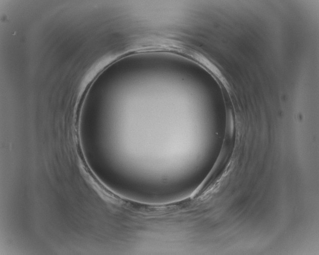 X0000072551485200607211347