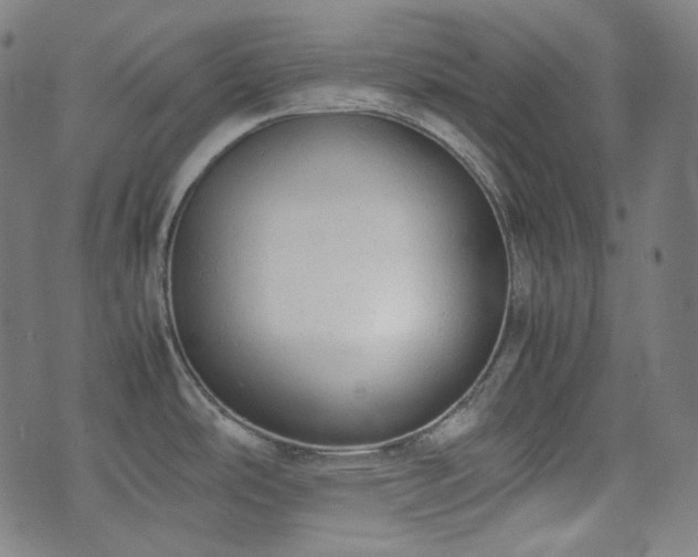 X0000072551486200607211347