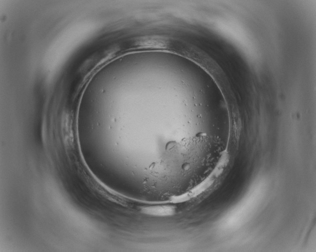 X0000072551487200607211347