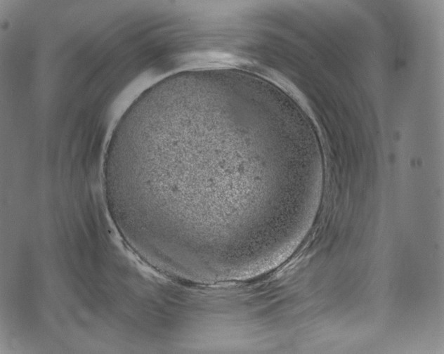 X0000072551488200607211346