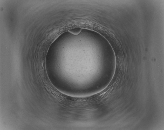 X0000072551489200607211346