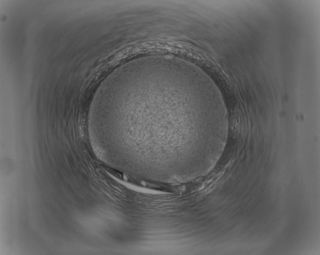 X0000072551490200607211346