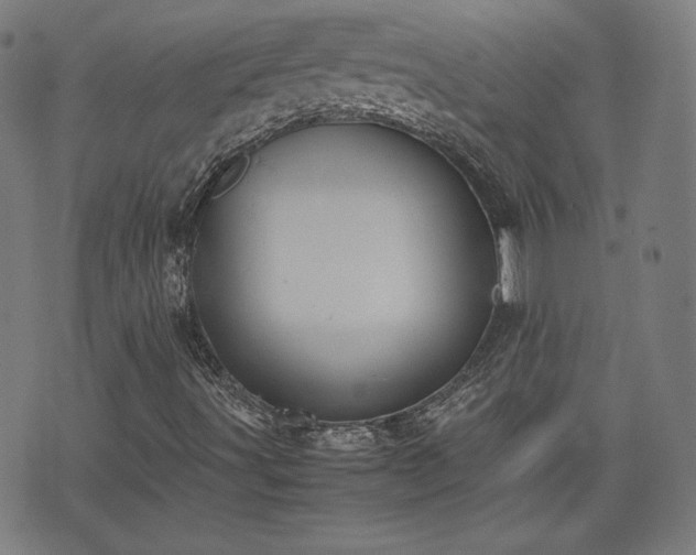 X0000072551491200607211346