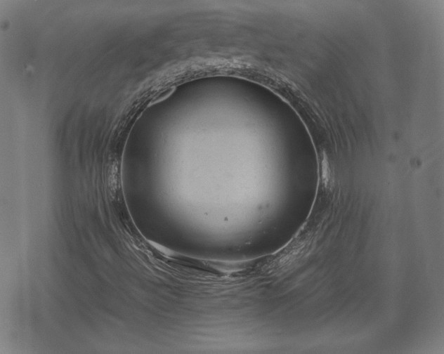 X0000072551492200607211346