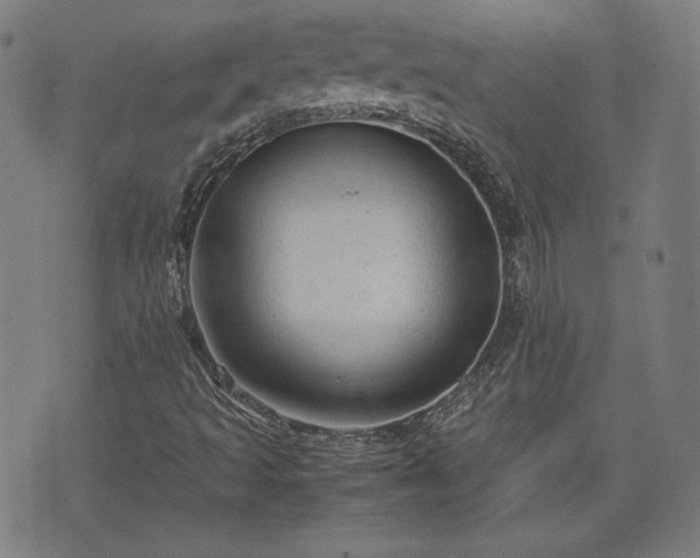 X0000072551493200607211346