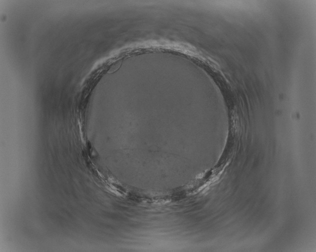 X0000072551494200607211346