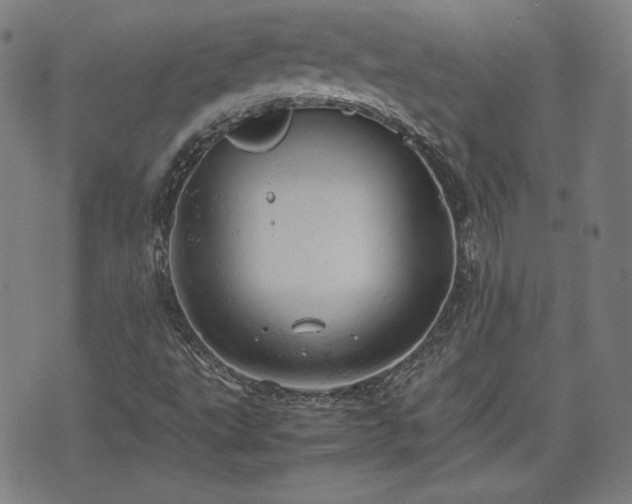 X0000072551495200607211346