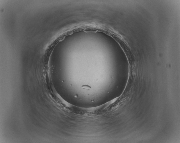 X0000072551496200607211346