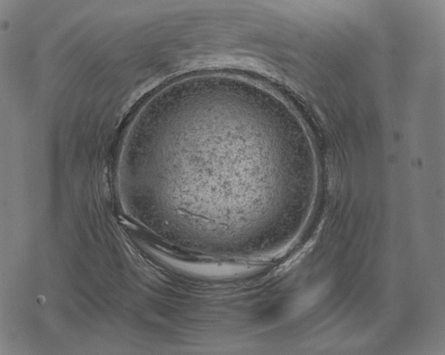 X0000072551497200607211346