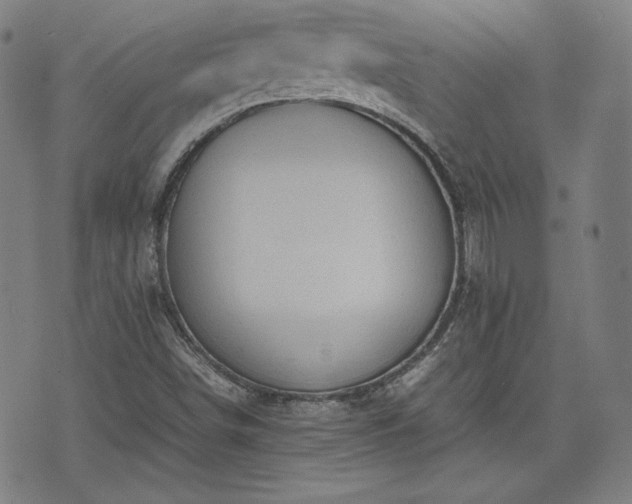 X0000072551498200607211346