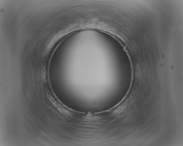 X0000072551499200607211346