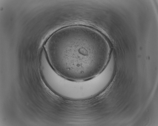 X0000072551500200607211346