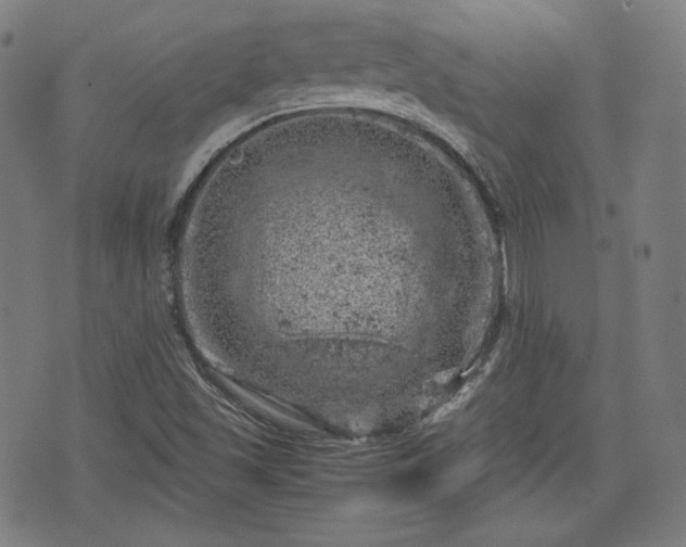 X0000072551501200607211346