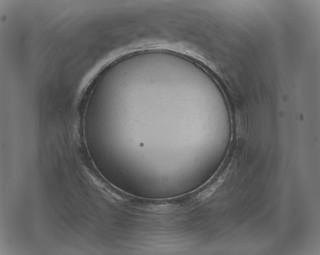 X0000072551502200607211346