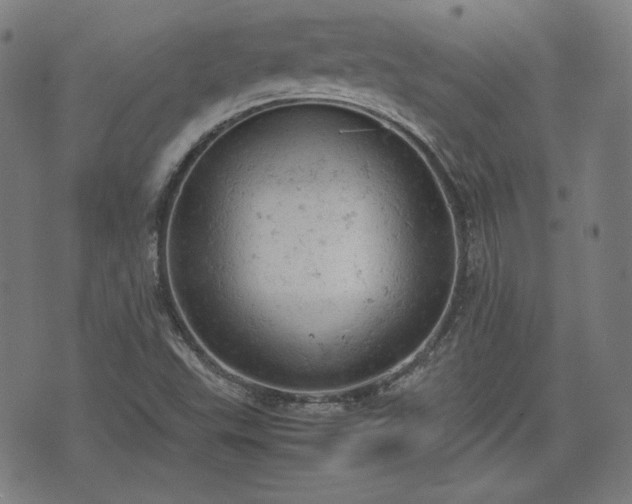 X0000072551503200607211346