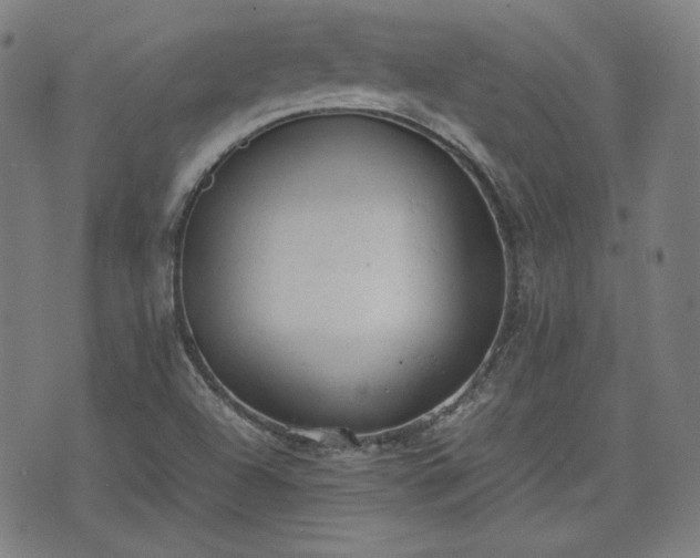 X0000072551504200607211346