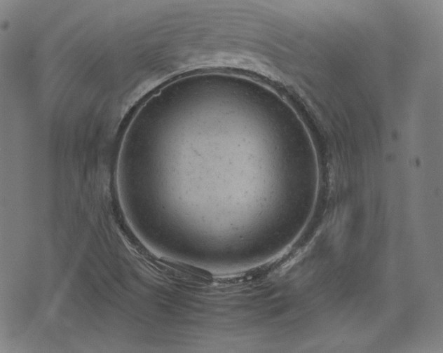 X0000072551505200607211346