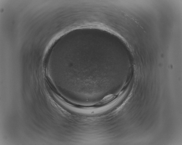 X0000072551506200607211346