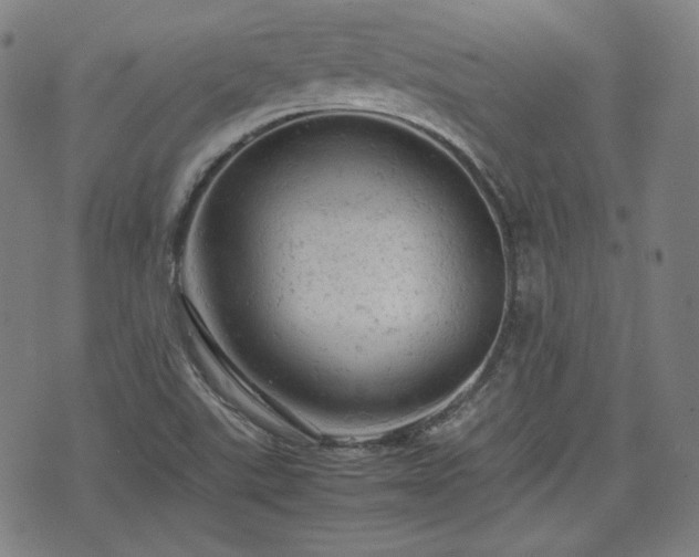 X0000072551507200607211346