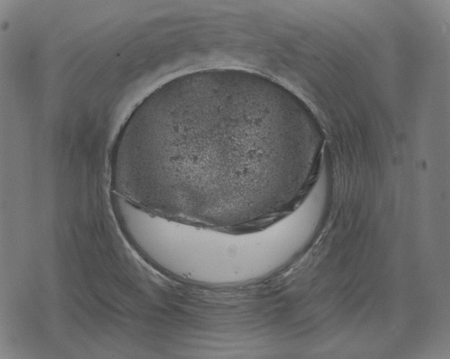 X0000072551508200607211346