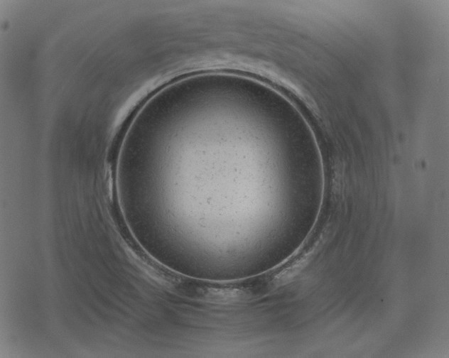 X0000072551509200607211346