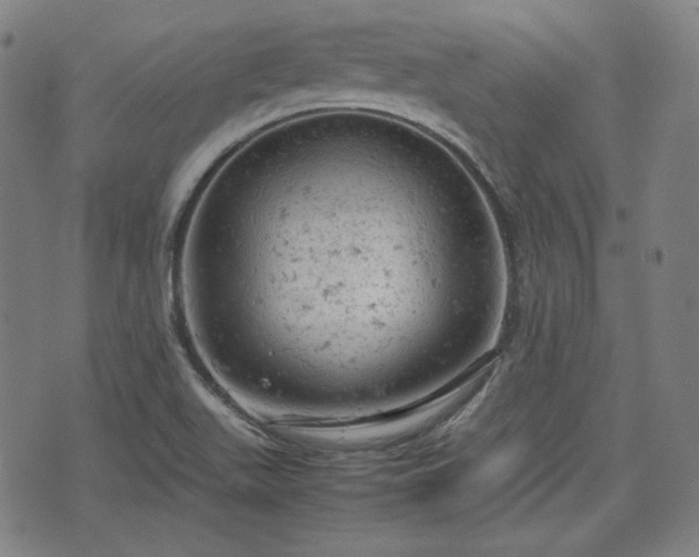 X0000072551511200607211346