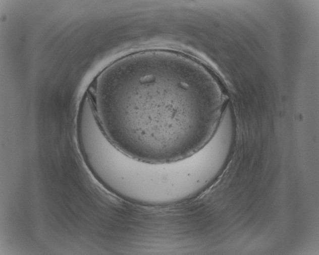 X0000072551512200607211346