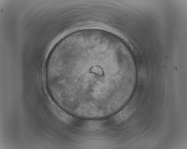 X0000072551514200607211346