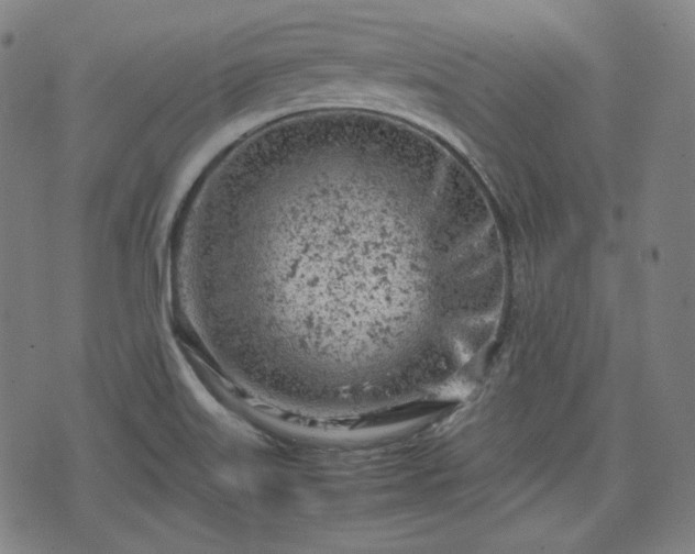 X0000072551515200607211346