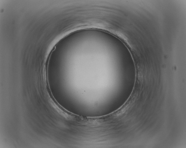 X0000072551516200607211346